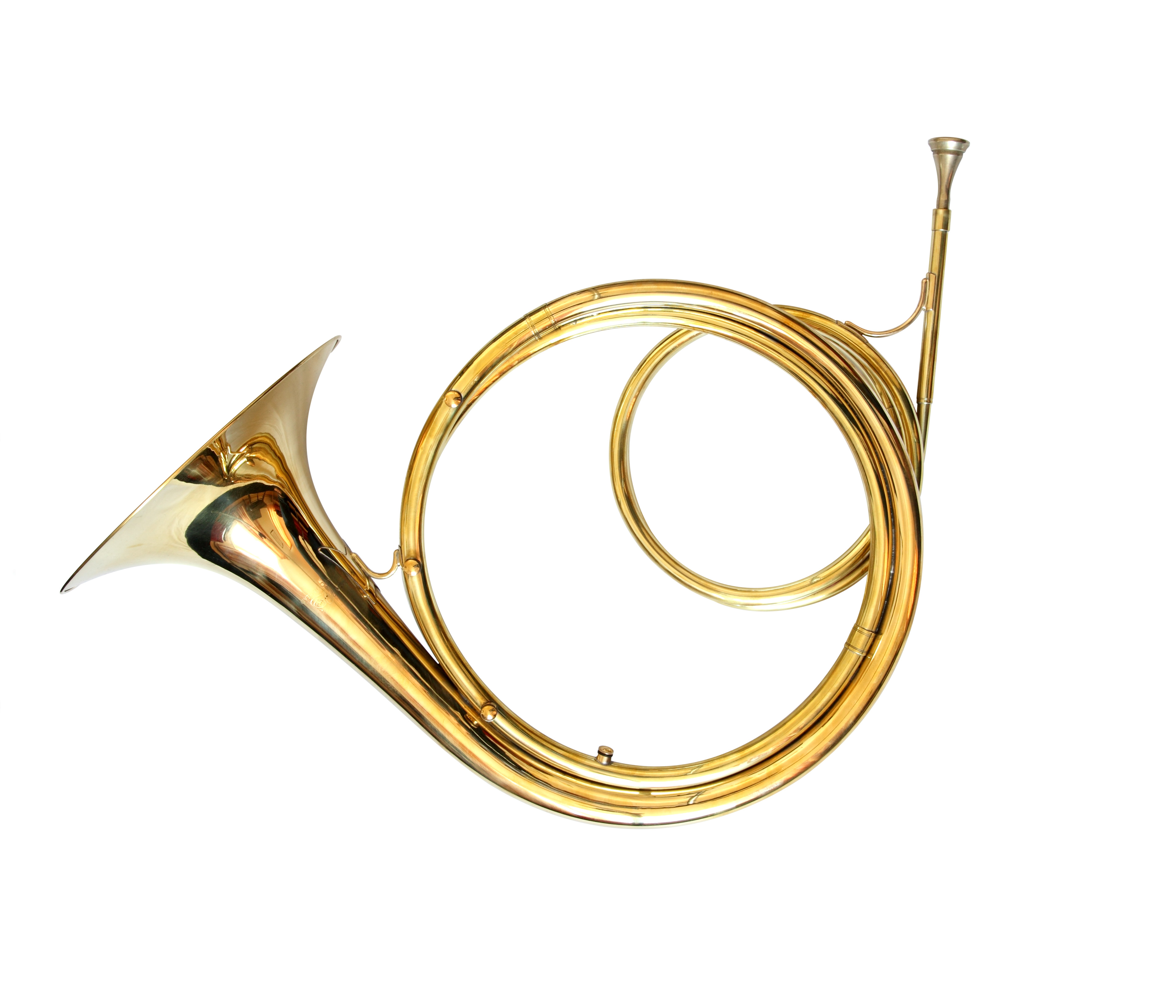 Baroque Horn Woodhead Horns