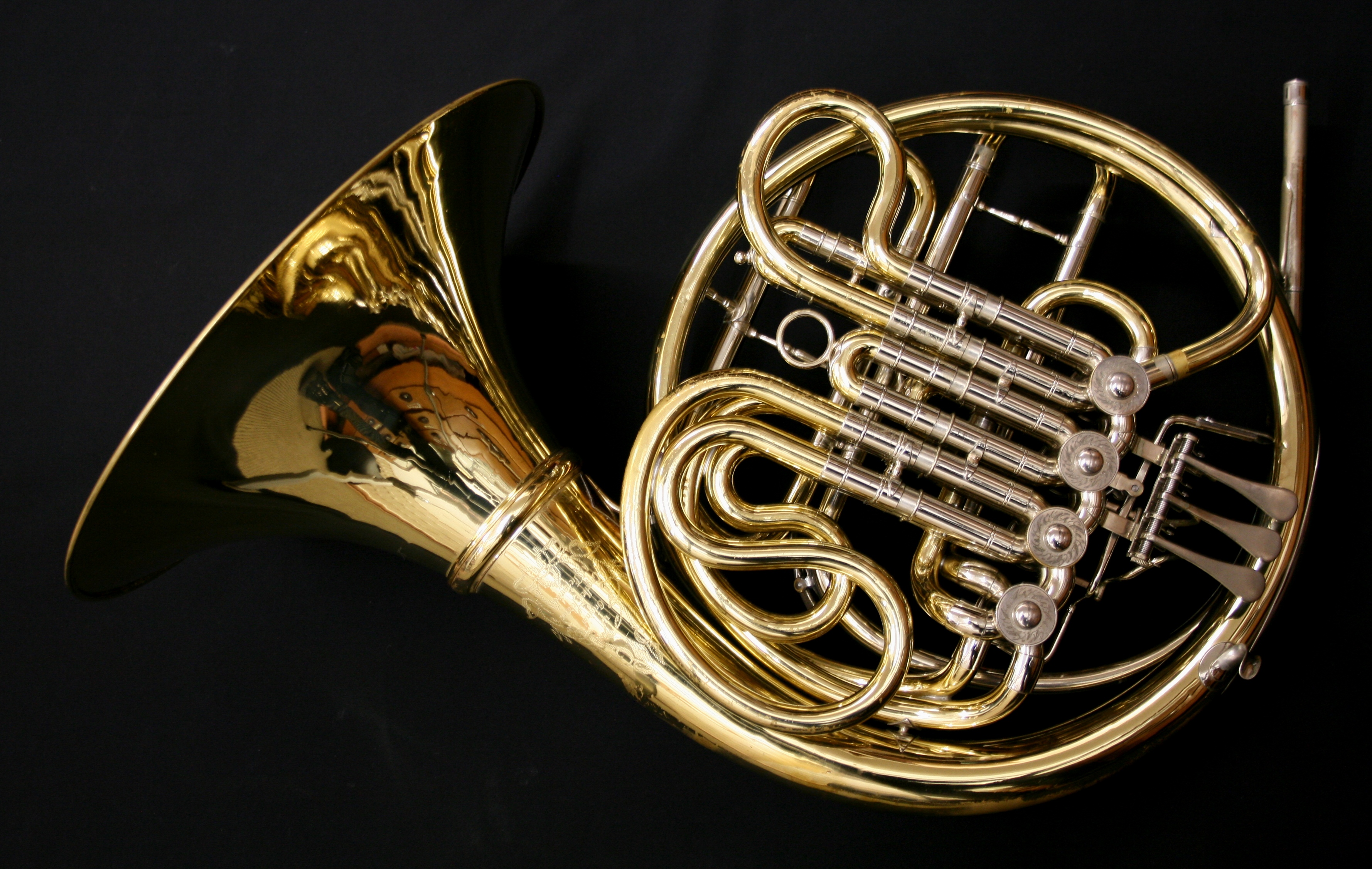 Schmid Woodhead Horns