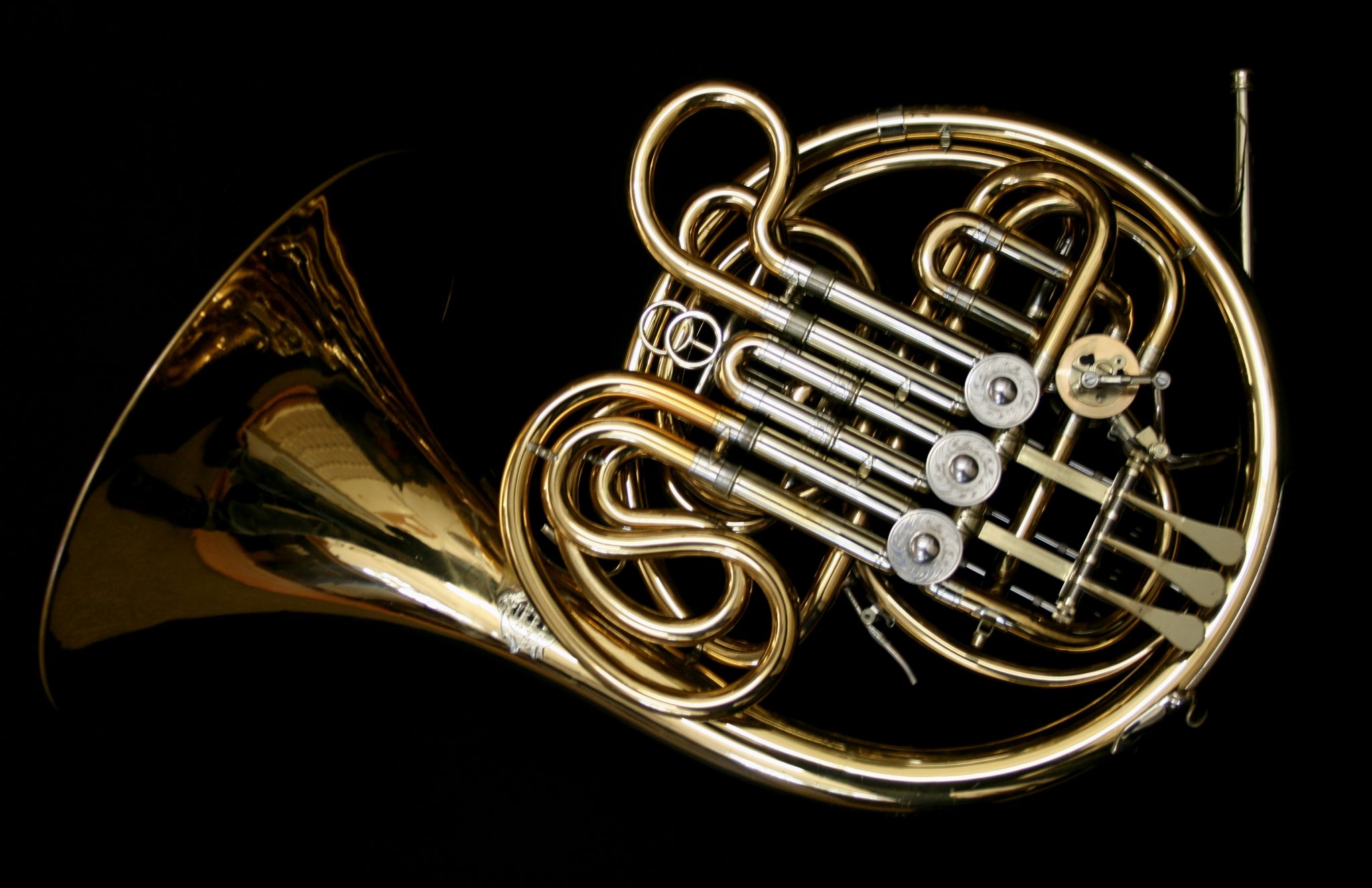 Alexander 103 Woodhead Horns