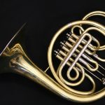 Jungwirth Vienna Horn
