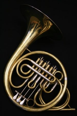 Jungwirth Vienna Horn