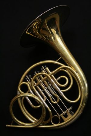 Jungwirth Vienna Horn - Image 3