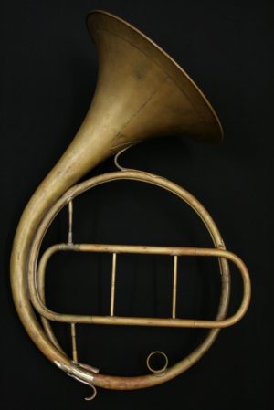Turtle Piston/Hand Horn