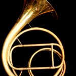 Webb Halstead Bohemian Natural Horn