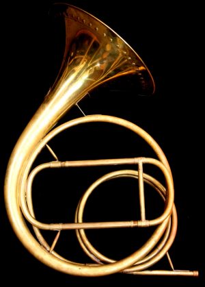 Webb Halstead Bohemian Natural Horn