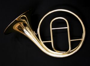 Paxman 'Studenti' Natural horn