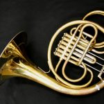 Haagston Vienna Horn