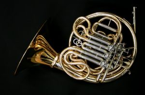 Alexander 307
