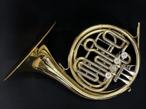 Anborg Compensating double
