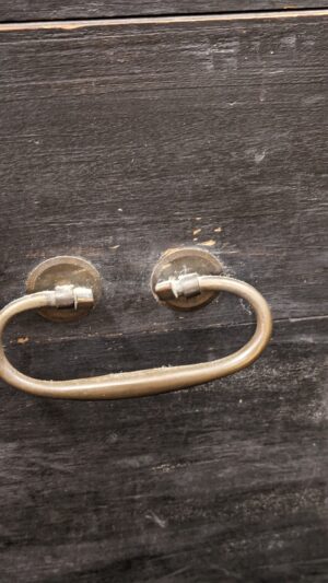 Gautrot Natural Horn with painted bell - Image 9