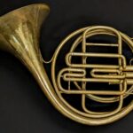 Raoux/Millereau/Schoenaars Piston